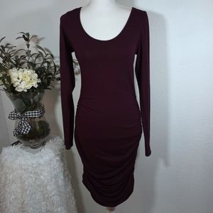 Express Plum Long Sleeve Dress